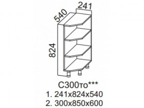 С300то Стол-рабочий 300 (торцевой открытый) в Белоярском - beloyarskij.магазин96.com | фото