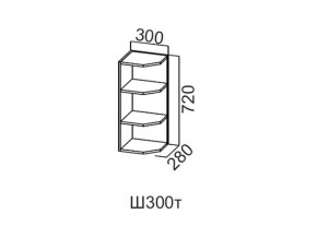 Ш300т/720 Шкаф навесной 300/720 (торцевой) в Белоярском - beloyarskij.магазин96.com | фото