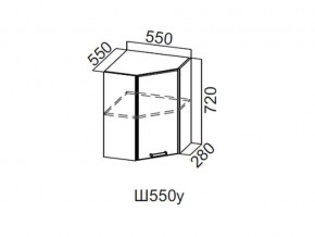 Ш550у/720 Шкаф навесной 550/720 (угловой) в Белоярском - beloyarskij.магазин96.com | фото