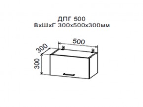 Шкаф верхний ДПГ500 горизонтальный в Белоярском - beloyarskij.магазин96.com | фото