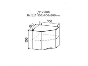 Шкаф верхний ДПУ600 угловой в Белоярском - beloyarskij.магазин96.com | фото
